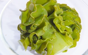 Giải pháp chăm sóc sức khỏe tự nhiên được nhiều người tin chọn - Ảnh 5.