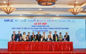 Thêm Bình Dương, Bà Rịa - Vũng Tàu, HFIC phải là định chế đặc thù chủ lực của TP HCM mới- Ảnh 1.