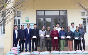 5.000 người tham gia chương trình đi bộ "Vì nạn nhân chất độc da cam"- Ảnh 7.
