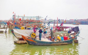 Đồng hành với ngư dân bám biển - Ảnh 2.