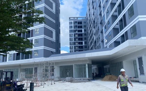 Giải cơn khát nhà ở giá thấp - Ảnh 2.