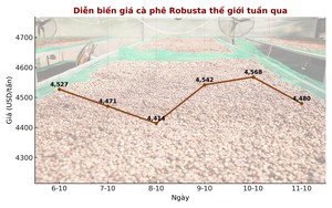 Giá cà phê hôm nay 12 - 10: Xuất khẩu cà phê đạt 9 tỉ USD - Ảnh 1.