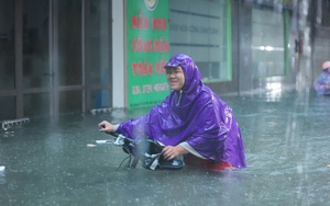 Ngập triền miên, nh…