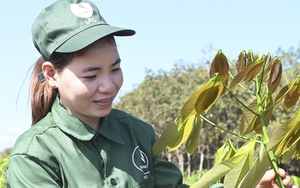 Ph&oacute; Thủ tướng thường trực Nguyễn H&ograve;a B&igrave;nh thăm v&agrave; l&agrave;m việc tại VRG - Ảnh 3.