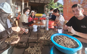 Nhiều đại lý ngưng mua tiêu vì lý do này - Ảnh 1.