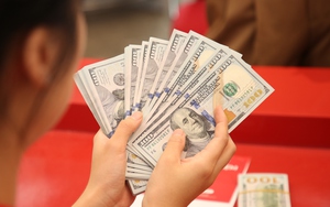 Có hiện tượng mua ngoại tệ đi du lịch, công tác rồi bán hưởng chênh lệch khi giá USD tự do tăng cao - Ảnh 1.