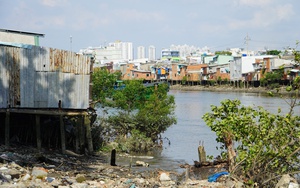 Linh hoạt trong bố trí tái định cư - Ảnh 2.