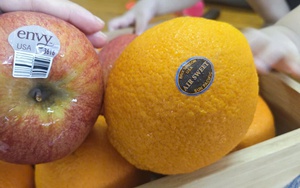 Giá thanh long tăng mạnh , nông dân hào hứng chong đèn trở lại - Ảnh 3.