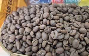 Giá cà phê hôm nay 31 - 10 tăng tiếp giữ vị thế số 1 cho cà phê Việt Nam - Ảnh 1.