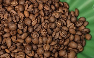 Giá cà phê hôm nay 1-11: Cực đoan hơn thời tiết - Ảnh 1.