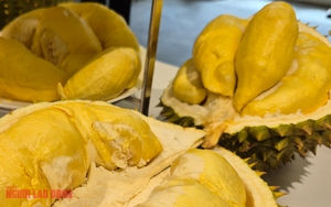 Giá sầu riêng hôm nay 8 - 10: Tăng mạnh , nhà vườn thu lợi lớn từ 100 . 000 Đồng / kg - Ảnh 1.