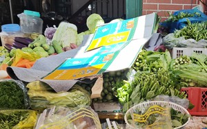 Hành lá 110.000 đồng/kg, làm sao để hạ nhiệt? - Ảnh 3.