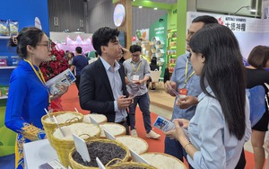 Bán hàng online ra thế giới - Ảnh 3.