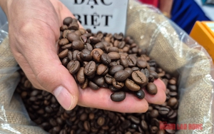 Giá cà phê hôm nay 17-11: Chủ tịch VICOFA nói gì khi giá cà phê giảm mạnh? - Ảnh 1.