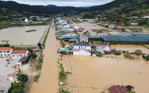 Nông dân trồng rau ở Lâm Đồng thiệt hại nặng vì ngập - Ảnh 7.