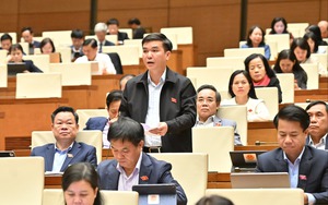 Cần cấm tuyệt đối ép mua bảo hiểm khi vay ngân hàng - Ảnh 2.