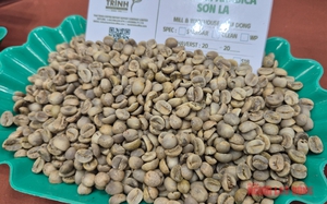 Giá cà phê hôm nay 3 - 11: Cà phê nhân đặc sản giá 650 . 000 Đồng / kg - Ảnh 1.