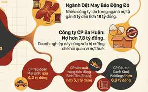 C&ocirc;ng ty Ba Hu&acirc;n nợ bảo hiểm x&atilde; hội , giảm thị phần trứng tại si&ecirc;u thị 2026 - Ảnh 1.
