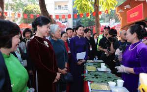 Đ&agrave;m Thủy Ti&ecirc;n gi&agrave;nh c&uacute;p v&agrave;ng tại Li&ecirc;n hoan Nghệ thuật quốc tế ch&acirc;u &Aacute; - Th&aacute;i B&igrave;nh Dương - Ảnh 2.