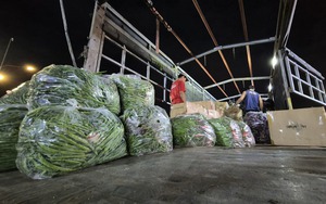 Gồng sức kìm giữ giá cả hàng hóa - Ảnh 3.