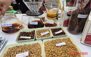 Giá cà phê hôm nay 25-11: Robusta đi xuống, Arabica đi lên - Ảnh 1.