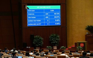 Dự trữ phương tiện đặc chủng để cứu nạn - Ảnh 3.