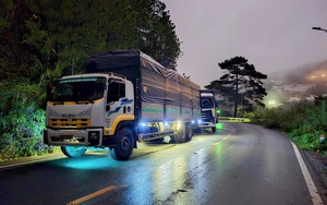 Đèo Mimosa vừa thông lại sạt lở, người dân nên đi đèo Prenn hoặc Saco Tuyền Lâm - Ảnh 9.