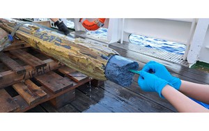 Lục địa vỡ đôi, sự sống Trái Đất "đột biến" - Ảnh 2.