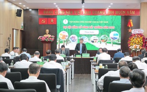 Tập đoàn Công nghiệp cao su Việt Nam (VRG) lãi gần 7.000 tỉ đồng - Ảnh 1.