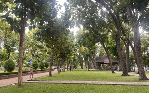 TP HCM làm gì để đạt mục tiêu tối thiểu 1m2 cây xanh công cộng/người? - Ảnh 2.