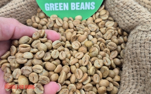 Giá cà phê hôm nay và sự bùng nổ của Chuỗi cà phê Việt tại Ấn Độ - Ảnh 1.