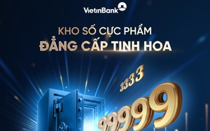VietinBank ra mắt website Quan hệ Nhà đầu tư mới: Minh bạch kiến tạo niềm tin - Ảnh 3.