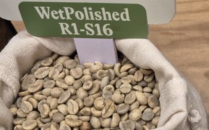 Giá cà phê hôm nay 13 - 12: Giảm mạnh , mất mốc 100 . 000 Đồng / kg - Ảnh 1.