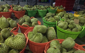 Gi&aacute; sầu ri&ecirc;ng Ri 6 tr&aacute;i vụ gi&aacute; rẻ bất ngờ - Ảnh 1.