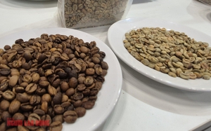 Gi&aacute; c&agrave; ph&ecirc; h&ocirc;m nay 18-12: Lao dốc phi&ecirc;n thứ 5, mốc 90.000 đồng/kg c&oacute; thể thủng - Ảnh 1.