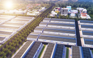 Ph&oacute; Thủ tướng thường trực Nguyễn H&ograve;a B&igrave;nh thăm v&agrave; l&agrave;m việc tại VRG - Ảnh 2.