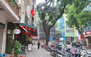 Ki&ecirc;n quyết với x&acirc;m phạm vỉa h&egrave; - Ảnh 1.