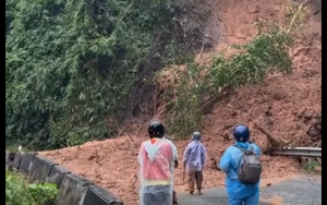 Vựa rau Lâm Đồng thiệt hại nặng nề sau cơn lũ lịch sử - Ảnh 24.