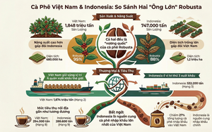 Gi&aacute; c&agrave; ph&ecirc; h&ocirc;m nay 23 - 12 tăng mạnh với mức kỷ lục mới - Ảnh 1.