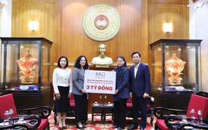 Tập đoàn BRG lần thứ 5 liên tiếp được vinh danh doanh nghiệp bền vững Việt Nam - Ảnh 2.