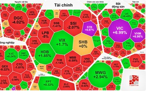 5 Người gi&agrave;u nhất Việt Nam v&agrave; vị tr&iacute; tr&ecirc;n bản đồ tỉ ph&uacute; thế giới - Ảnh 2.