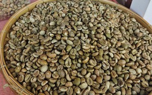 Gi&aacute; c&agrave; ph&ecirc; h&ocirc;m nay 26-12: Trong nước tăng n&oacute;ng, Trung Quốc bất ngờ nhập nhiều - Ảnh 1.