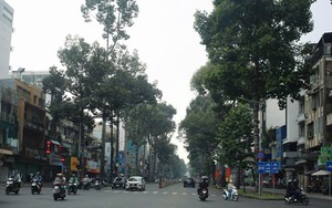 Doanh nghiệp chủ động xanh h&oacute;a - Ảnh 2.