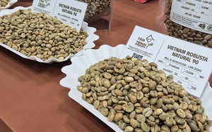 Gi&aacute; c&agrave; ph&ecirc; h&ocirc;m nay 31-12: Robusta tăng phi&ecirc;n thứ 5 - Ảnh 1.