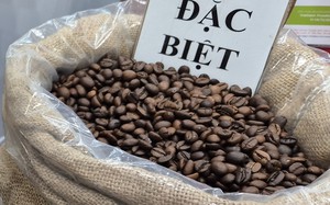 Giá cà phê hôm nay 7-12: Người Việt uống cà phê còn ít - Ảnh 1.