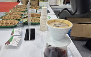 Giá cà phê hôm nay 8-12: Động thái lạ của khối ngoại - Ảnh 1.