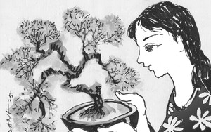 Chậm lại thôi, việc gì phải vội! - Ảnh 1.