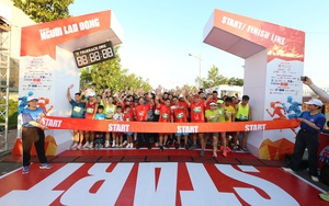 Giải Half-marathon 