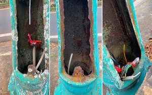 Xe con bẹp dúm trên cao tuyến tốc Liên Khương- Ảnh 2.