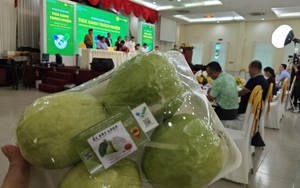 Trái cây, nông sản rớt giá mạnh - Ảnh 2.